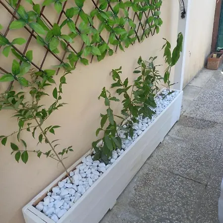 Apartmán Double *